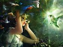 Magic World Of Illusions