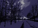 Крылья ночи