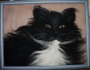 Чёрный кот