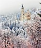 Чёрный лебедь 4 часть Гостья