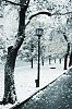 Москва... февраль... колючий снег...
