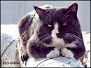 уютно