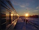 Сиреневый туман.