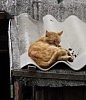 любимые рыжие 1.не кантовать!при пожаре выносить первым!)))
