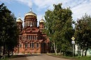 Оса преображается