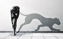 Желтоглазая царица