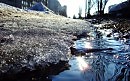 Еще не в сини васильковой...