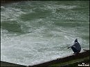у воды думется легче