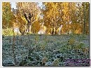 Ещё вчера