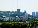 до Олимпиады осталось... Из серии Сочинские зарисовки