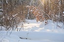 1 января 2012 года