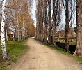 Дорожка