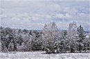 весенняя непогода