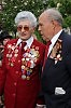 Снегири