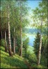 Высокий берег