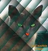 catstreet