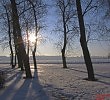 winter forest Peterburg1