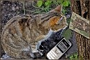 Мои вредные привычки