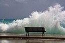 Der Sturm