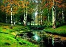 Белая Русь, я табой зачарованы