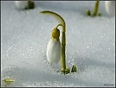 Принцип Любви. Фентези. Детям