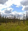Север,Ухта