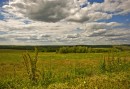 В июньский день
