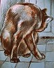 "Кошечка-кошурка"