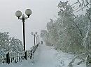 Черно-белое