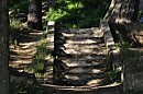 Старая лестница в парке