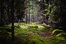 Переславль-Залесский