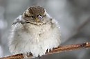 Мастер-класс