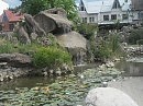 Маленький водопад и пруд с кувшинками.г.Горячий ключ.
