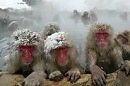 осень
