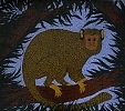 Мартышка-белка