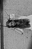 ♠Roof of suicide♠