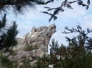 Молодо - зелено