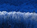 .Первый снег(вальс)