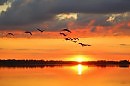На крылечке