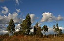 ветер