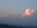 Облако мысли-цветок одуванчик