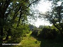 Братья Стояловы Макс Стоялов Дэн Стоялов