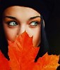 October-хайку