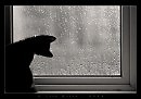 Дождик осенний...
