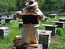 ПАСЕЧНИК. (72) Басни.