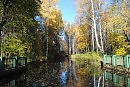 Осенний Вальс