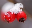 Романс- Не покидай меня очарованье...