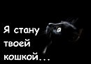 Кошки-мышки