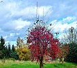 Осень 2012г.-48