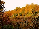 серия Уральская осень